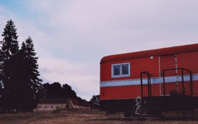 Chères spectatrices, chers spectateurs, cher public fidèle,